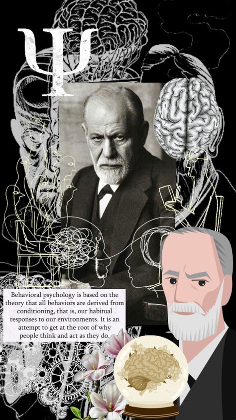 Freud’s Theory Freud Theory