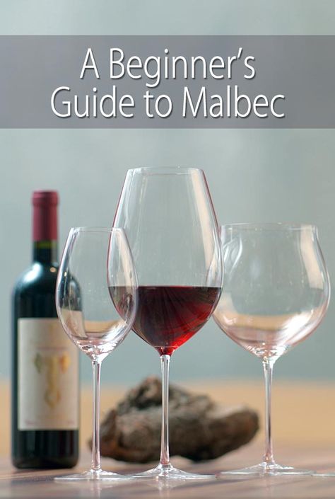 Wine Study, Red Wine Benefits, Wine Presentation, Wine Advertising, Wine Chart, Beer Cellar, Traveling Vineyard, Malbec Wine, Wine Rooms