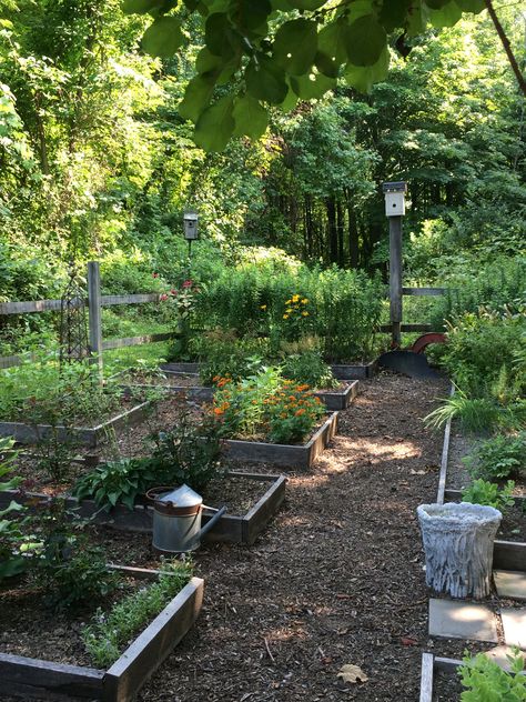 Potager Garden, Veg Garden, Secret Gardens, Vegetable Garden Design, Spring Aesthetic, Garden Layout, Veggie Garden, Farm Gardens, Kitchen Garden