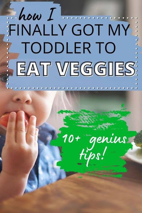 Veggies For Picky Eaters, Toddler Wont Eat, Toddler Vegetables, Hidden Vegetable Recipes, Eating Veggies, Toddler Picky Eater, Hidden Vegetables, Losing Your Mind, Eat Vegetables