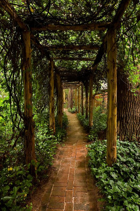 backyard sanctuaries | of Wing Haven Gardens and Bird Sanctuary in Charlotte, NC. The garden ... Witches Road, Nc Photography, Backyard Sanctuary, Location Scouting, Landscaping Backyard, Bird Sanctuary, Gardening Plants, Formal Gardens, Photo Packages