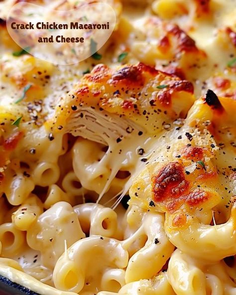 Savory Kitchen Fun Mac And Cheese Chicken Casserole, Chicken Ranch Macaroni And Cheese, Mac And Cheese With Chicken Recipe, Smoked Chicken Mac And Cheese, Cracked Chicken Macaroni And Cheese, Chicken Noodle Bake, Chicken Macaroni And Cheese, Noodle Bake, Chicken Macaroni