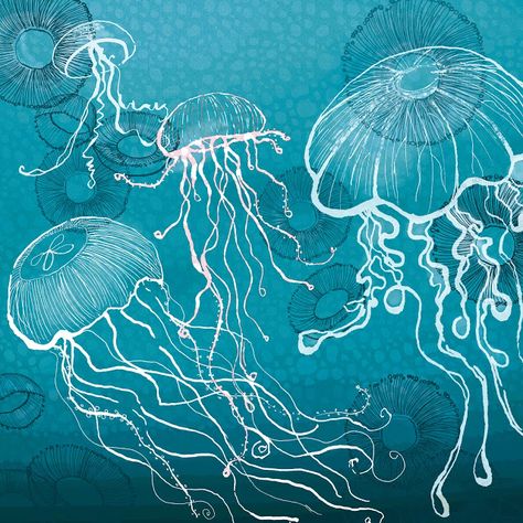 Sealife Art, Jellyfish Illustration, Jellyfish Painting, Jellyfish Drawing, Sea Life Art, Jellyfish Art, Posca Art, 수채화 그림, Sea Art