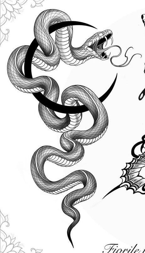 Viper Snake Tattoo Design, Hissing Snake Tattoo, Snake Hissing Tattoo, Snake Drawing Tattoo, Dragon Snake Tattoo, Snake Moon Tattoo, Snake Tattoo Drawing, Snake Draw, Snakes Drawing