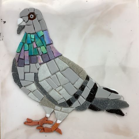 Magpie Mosaic, Free Mosaic Patterns Templates Simple, Rock Pigeon, Stone Mosaic Art, Stained Glass Mosaic Patterns, Bird Mosaic, Free Mosaic Patterns, Mosaic Art Diy, Mosaic Animals