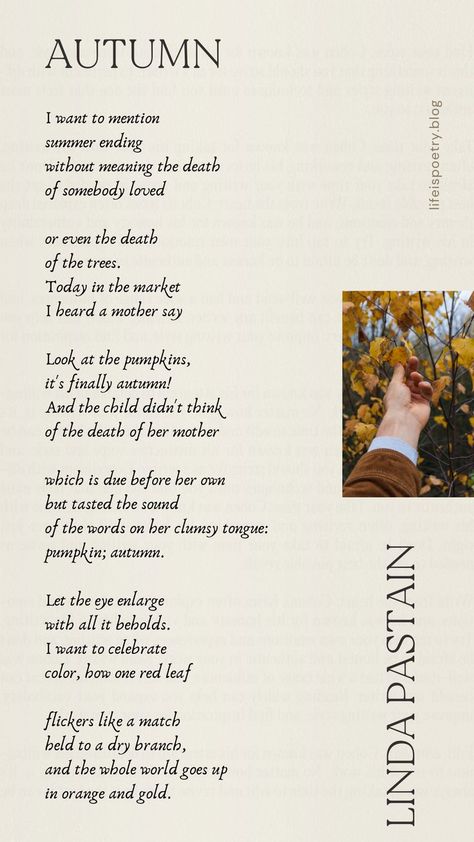 Fall Poems, Autumn Poetry, Fall Hygge, Seasons Poem, Autumn Poems, Lyric Poetry, Easy Hair Updos, Autumn Quotes, Unschooling