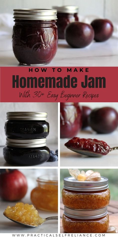 Basic Jam Recipe, Easy Jam Recipes, Preserve Fruit, Canning Jams, Preserving Fruit, Storing Food Long Term, Easy Jam Recipe, Blueberry Mango, Canning Jam Recipes