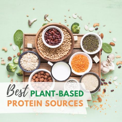 Plant Protein Sources, Anti Candida Diet, Hum Nutrition, Candida Diet Recipes, Meat Alternatives, Going Vegetarian, Candida Diet, Plant Protein, Tempeh