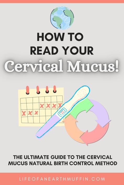 How To Read Your Cervical Mucus! Cervical Mucus Before Period, Cervical Mucus Cycle, Increase Cervical Mucus, Natural Birth Control, Basal Body Temperature, Homemade Garden Decorations, Birth Control Methods, Cervical Mucus, Fertility Health