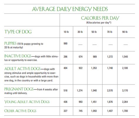 Serving Size Chart, Food Portion Sizes, Home Cooked Dog Food, Diy Dog Food, Make Dog Food, Grain Free Dog Food, Spoiled Dogs, Dog Treats Homemade Recipes, Raw Dog Food Recipes