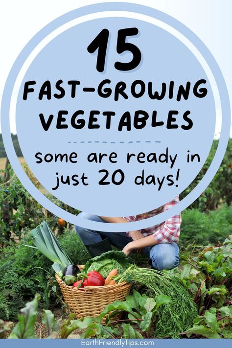 Picture of woman in garden crouching in front of basket full of fresh vegetables with text overlay 15 Fast-Growing Vegetables Some Are Ready in Just 20 Days! Outdoor Design Ideas, Natural Gardening, Fast Growing Vegetables, Growing Vegetables In Pots, Garden Remedies, Gardening Projects, Gardening Zones, Growing Gardens, Backyard Vegetable Gardens