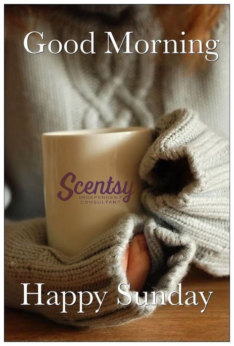 Scentsy Sunday Posts, Scentsy Australia, Scentsy Pictures, Scentsy Consultant Business, Scentsy Facebook Party, Scentsy Uk, Scentsy Marketing, Original Mickey Mouse, Selling Scentsy