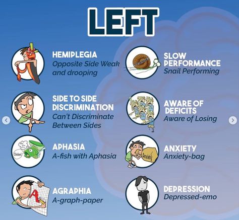 Compare and contrast left and right hemisphere stroke. 

#medicine #nursing #RN #NCLEX #PA #physicianassistant #PANCE Physicaltherapist #PT #NPTE Nurse Vocabulary, Nursing Pneumonics, Ace Exams, Telemetry Nursing, Emt Study, Active Recall, Nursing Cheat Sheet, Nclex Study Guide, Nursing Cheat