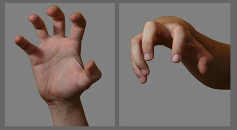 Hand In Claw Pose, Claws Hands Drawing, Limp Wrist Hand Reference, Hand Claws Reference, Claw Poses Drawing, Clawed Hands Drawing Reference, Claw Drawing Hands, Claws Out Pose, Bent Fingers Reference