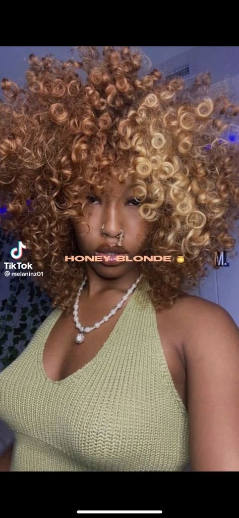 Hair Color Ideas For African Black Women, What Color To Dye Your Hair, Hair Color Ideas On Curly Hair, Curly Hair Different Colors, Copper Hair With Blonde Money Piece Curly Hair, Hair Color Ideas On Black Women, Honey Blonde Hair With Blonde Highlights, Ginger And Honey Blonde Hair, Copper Blonde Hair Black Women