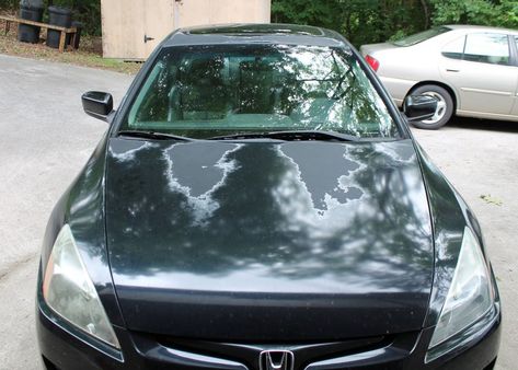 Clear Coat Peeling - How to Fix It in 5 Easy Steps | DetailXPerts Blog Car Paint Repair, Car Coating, Paint Repair, Damaged Cars, Car Fix, Auto Body Repair, Car Cleaning Hacks, Automotive Paint, Car Hacks