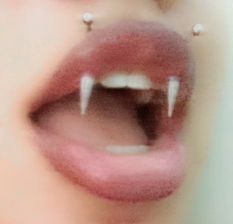 Angel Peircings, Lip Fang Piercing, Vampire Fang Piercing, Vampire Peircings, Vampire Fangs Piercing, Vampire Lip Piercing, Angel Fang Peircings, Angel Bites Piercing Aesthetic, Vampire Fangs Piercings