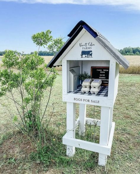 Diy Chicken Egg Stand, Driveway Farm Stand, Easy Diy Farm Stand, Farm Fresh Egg Stand, Petting Farm Ideas, Front Yard Farm Stand, Road Side Egg Stand, Egg Stand Ideas, Egg Stand Roadside Diy