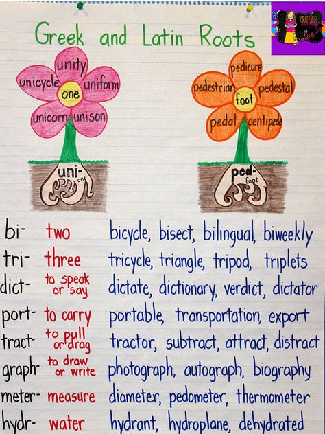 Anchor your students' understanding of Greek and Latin roots with this anchor chart! Latin Roots Anchor Chart, Latin Root Words, Ela Anchor Charts, Classroom Anchor Charts, Prefixes And Suffixes, Reading Anchor Charts, 5th Grade Reading, Root Words, 4th Grade Reading