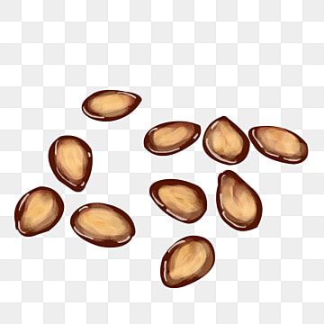 watermelon seeds,nuts,nutritious melon seeds,watermelon clipart,nut clipart Roasted Watermelon Seeds, Seed Tattoo, Seed Illustration, Watermelon Background, Watermelon Clipart, Different Nuts, Watermelon Seed, Melon Seeds, Dried Fruit Snacks