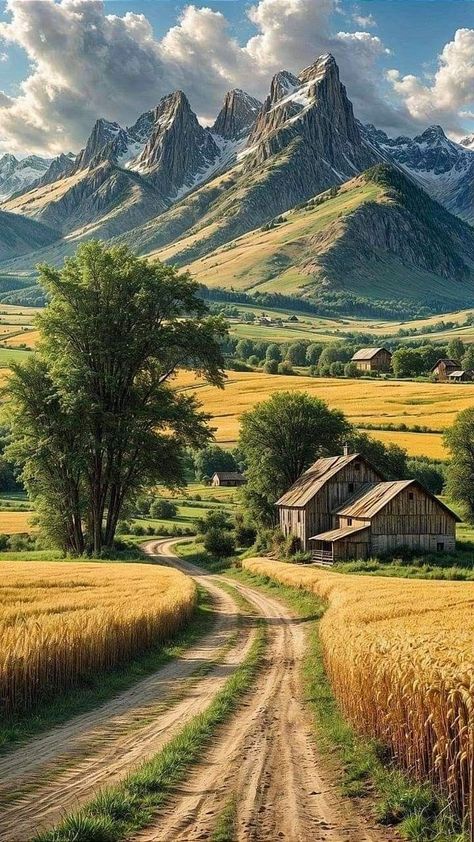 Relaxing View, Golden Fields, Winding Path, Create A Comic, Enjoy The Moment, Beautiful Landscape Photography, Pastel Sec, Rays Of The Sun, Majestic Mountains