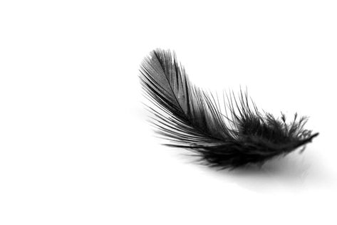 Black Feather Meaning, Protected By Angels, Dark Movie, Feather Meaning, Signs From Heaven, Being An Empath, An Empath, I Feel You, Stop Thinking