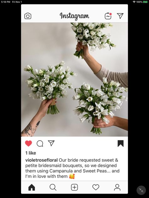 Campanula Flowers Bouquets, Campanula Bouquet, Sweet Pea Wedding Bouquet, Bouquet Shapes, Campanula Flowers, Bouquet Styles, Sweet Peas, Wedding Vibes, Wedding Florals