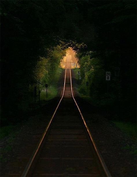 Simplon Orient Express, Train Tunnel, Tree Tunnel, Earth Pictures, France Photos, Train Tracks, A Train, Scenic Views, Beautiful World