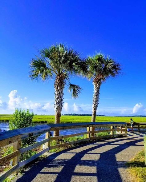 Surf Side Beach Sc, Best Shelling Beaches In South Carolina, Sullivan's Island Sc, Atalaya Castle, Edisto Beach Sc, Surfside Beach Sc, Myrtle Beach State Park, Myrtle Beach Trip, Coastal South Carolina