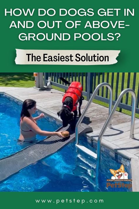 How do dogs get in and out of above-ground pools? The easiest solution. Dog Pool Ramp, Swimming Pool Safety, Dog Pool, Stock Tank Pool, Dog Ramp, Pool Safety, Stock Tank, Diy Pool, Above Ground Pool