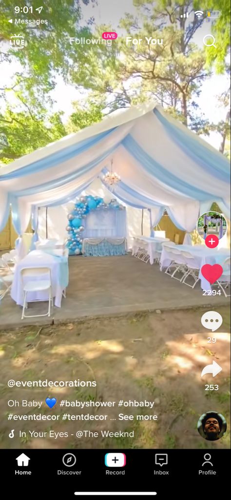 Decorate A Tent For A Party, Outdoor Tent Decorations Backyards, How To Decorate Inside A Party Tent, Outside Tent Party Ideas, Party Tent Backyard, Tent Draping Ideas, Party Tent Ideas, Party Tent Decorations Birthday, Tent Decorating Ideas Birthday