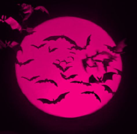 Aesthetic Pink And Black, Pink Goth Aesthetic, Pink Grunge Aesthetic, Pink Full Moon, Draculaura Aesthetic, Pink And Black Wallpaper, Bats Flying, Black Pfp, Halloween Wallpaper Iphone Backgrounds