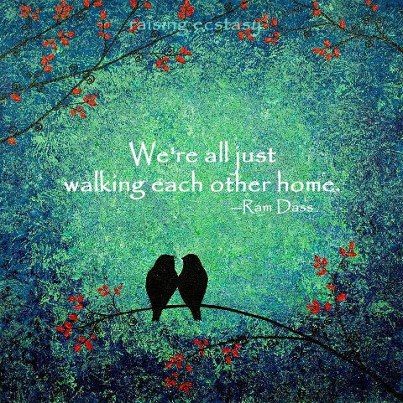 home Hospice Quotes, Walking Each Other Home, Ram Dass Quotes, Walking Meditation, Ram Dass, Be Here Now, Happiness Project, A Course In Miracles, Wayne Dyer