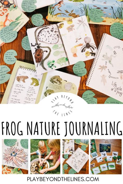 Journals provide a creative way to showcase learning. Journals can incorporate art, writing and various other means while instilling ownership in the learning process. Click to see how we incorporated nature journaling into our frog study. Nature Journaling For Kids, Blackberry Ideas, Frog Unit Study, Learning Theories, Frog Habitat, Nature Writing, Nature Club, Nature Based Learning, Nature Journals