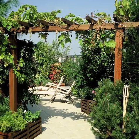 Tonnelle pour vigne Kiwi Growing, Gate Trellis, Garden Remodel, Arbor Gate, Hot Tub Landscaping, Gate Fence, Trellis Ideas, Garden Arbor, Garden Gazebo