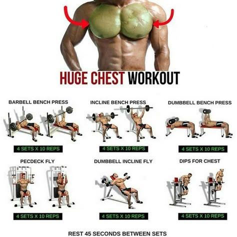 13.3k Likes, 180 Comments - Menswear Guide (@mensweartutorial) on Instagram: “Ultimate Chest Workout ✅ ⠀ Follow us (@mensweartutorial) for the best daily menswear tips ✨ ⠀ …” Fitness Training Plan, Chest Workout For Men, Latihan Dada, Best Chest Workout, Gym Antrenmanları, Barbell Workout, Step Workout, Planet Fitness, Weight Training Workouts