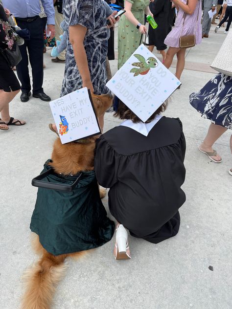 Dog Graduation Cap, Caps And Gowns, Dog Graduation, Service Dogs Gear, Graduation Cap And Gown, Diy Graduation Cap, Service Dog Vests, Diy Graduation, Dog Things