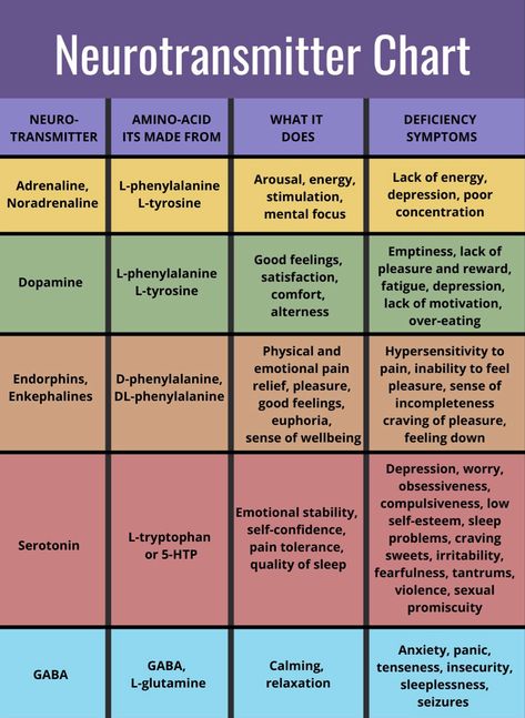 Hormones Vs Neurotransmitters, Chemicals In The Brain, Brain Chemicals Mental Health, Neurotransmitters Brain Neurons, Brain Function Chart, Neurotransmitters And Mental Health, Brain Facts Psychology, Anatomy Of Brain, Brain Psychology