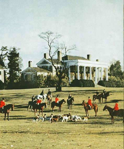 English Country Manor, Hunt Scene, Virginia Is For Lovers, Equestrian Decor, Hunter Jumper, Fox Hunting, Horses And Dogs, Equestrian Life, Horse Farms