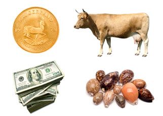 Barter System, History Of Money, Bring Back Lost Lover, Job Promotion, Cowrie Shells, Credit Card Processing, Teaching History, Cowrie Shell, Gold Price