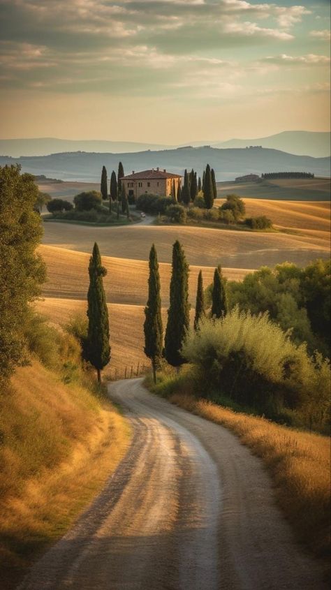 자작나무 그림, Tuscany Landscape, Tuscan Landscaping, Italy Landscape, Toscana Italia, Under The Tuscan Sun, Italian Landscape, Trending Pins, Landscape Photography Nature