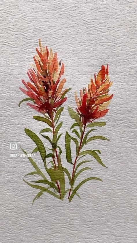 4.9K views · 108 reactions | Wild bottle brush flowers today ! I hope you find the little tips useful to paint these in a rather loose expressive style 🧡 Enjoy 🧡 #watercolortutorial #bottlebrush #easypainting #watercolorpainting | rashmithodkar | Joshua Kyan Aalampour · The Hidden Library Hidden Library, Australian Native Flowers, Watercolor Flower Art, Watercolour Tutorials, Bottle Brush, Easy Paintings, Watercolor Flowers, Art Sketches, Flower Painting