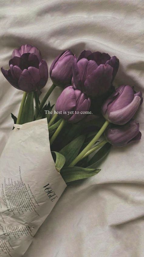 Tulips Quotes, Tulips Aesthetic, Book Flowers, Bullet Journal Diy, Purple Tulips, Flower Therapy, Happy Flowers, The Best Is Yet To Come, Luxury Flowers