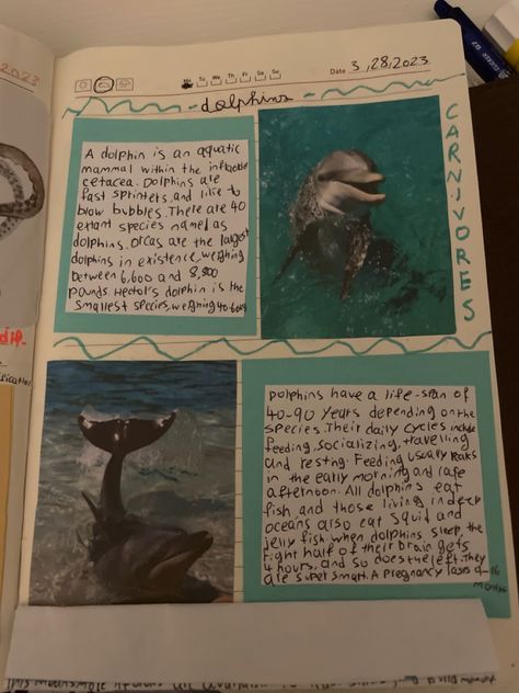 Marine Biology Journal, Marine Biologist Notes, Marine Biology Notes, All About Dolphins, Biology Notebook, Ocean Notes, Ocean Journal, Oceanography Marine Biology, Bullet Journal Hand Lettering