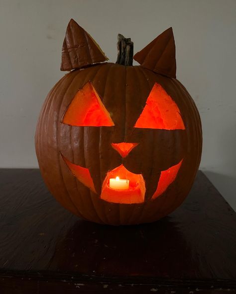 Otter Pumpkin Carving, Cat Butthole Pumpkin Carving, Cat Pumkins Ideas Carving, Cute Pumpkin Carving Ideas Simple Girly, Alice And Wonderland Cat, Girl Pumpkin Carving, Alice In Wonderland Pumpkin Carving, Easy Cute Pumpkin Carving Ideas, Pumpkin Carving Ideas Cat