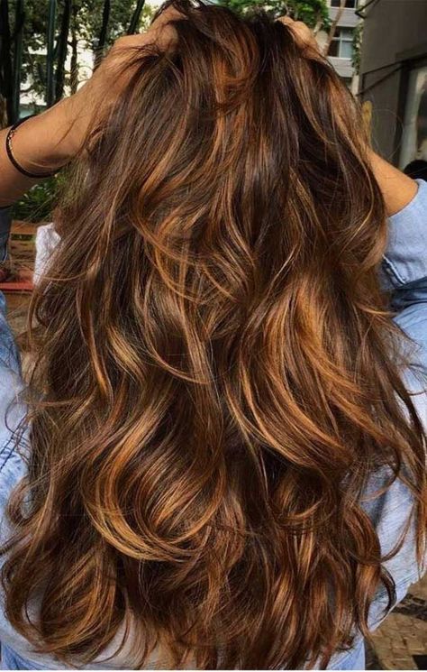 Purple Highlights Brown Hair, Highlights Brown Hair Short, Highlights Brown Hair Balayage, Brown Hair With Caramel Highlights, Honey Brown Hair, Chocolate Brown Hair, Caramel Hair, Hair Color Light Brown, Brown Hair Balayage