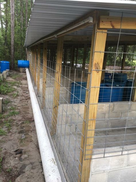 Dog Shed House Inside, Carport Dog Kennel Ideas, Dog Kennel Ideas Outdoor, Kennel Design, Dog Kennel And Run, K9 Kennels, Kennel Diy, Kennel Ideas Outdoor, Cheap Dog Kennels