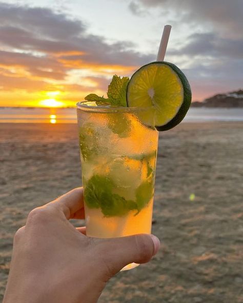 🌴 THE BEACH HOUSE 🌴 on Instagram: "Sunset mojito 👌🏼✨🌴 #mojito #cocktails #sunset #sjds #nicaragua #sanjuandelsur #playa #beach #tropical" Mojito Aesthetic, Mango Mojito, Cocktail Beach, Mojito Recipe, The Beach House, Beach Tropical, 2025 Vision, Cute Wild Animals, Beach Holiday