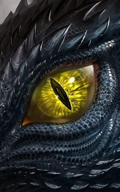 Black Dragon, A Dragon, The Eye, Close Up, Yellow, Red, Black