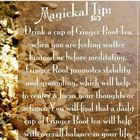 #gingerroottea Ginger Root Tea, Wiccan Witch, Magical Herbs, Eclectic Witch, Herbal Magic, White Witch, Wiccan Spells, Spells Witchcraft, Ginger Root